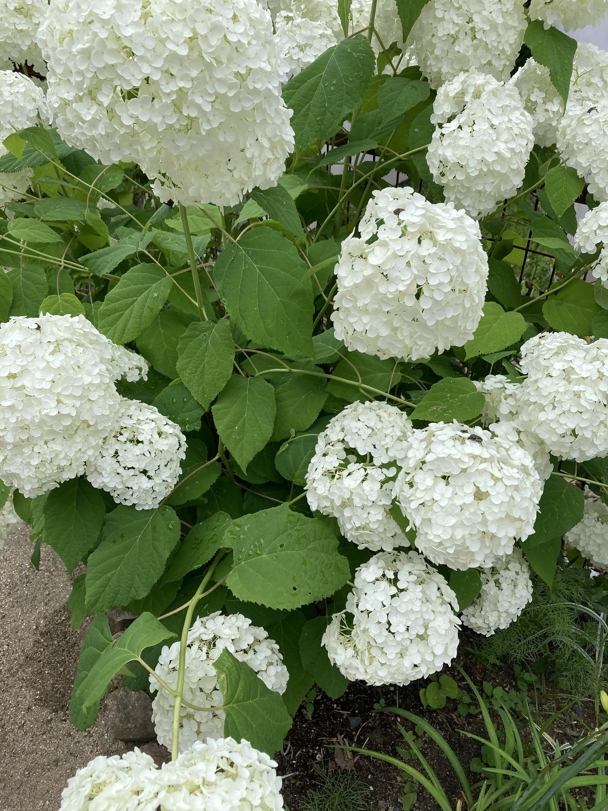 c771752e-0182-4716-aaa6-e302f52e934c.jpg